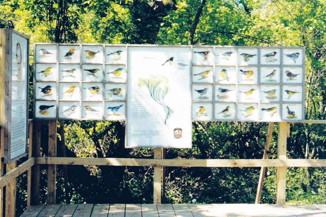 bill-kuhlman-warbler-panels-magee-marsh