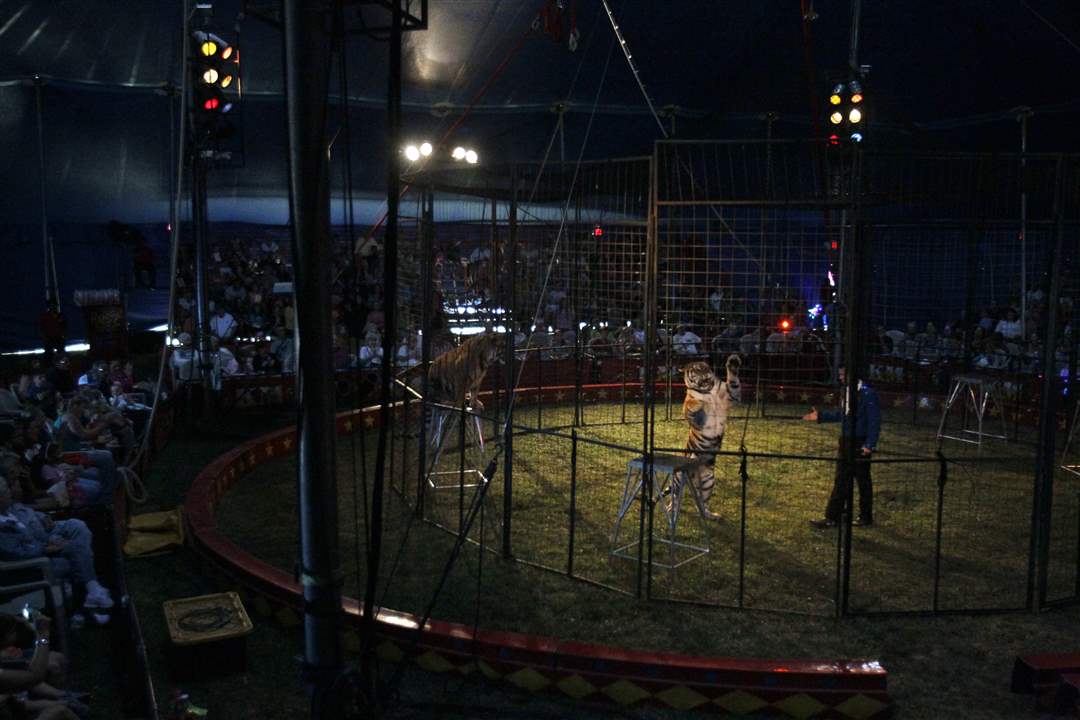 circus-ryan-holder