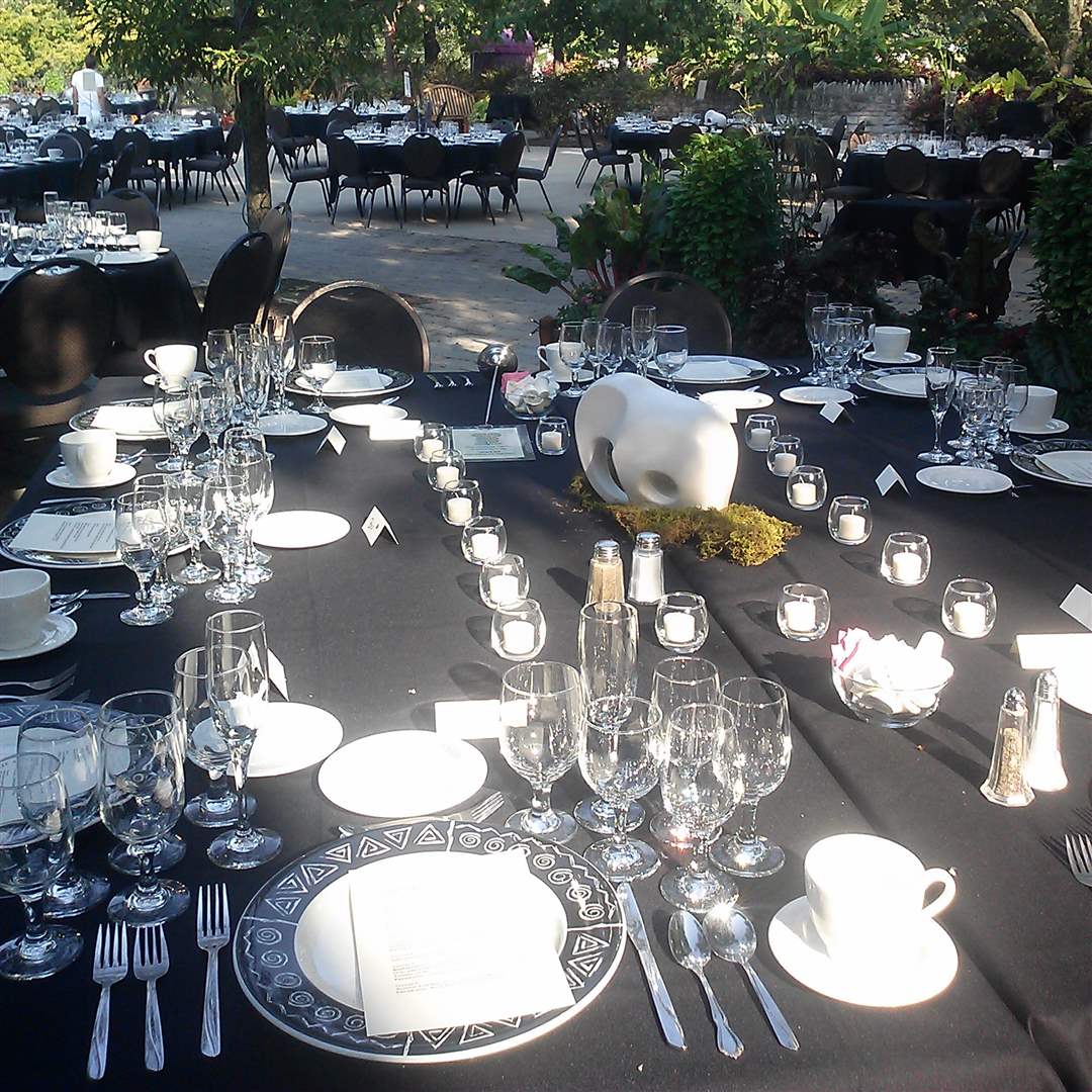 Feast-with-Beasts-Toledo-Zoo-tables