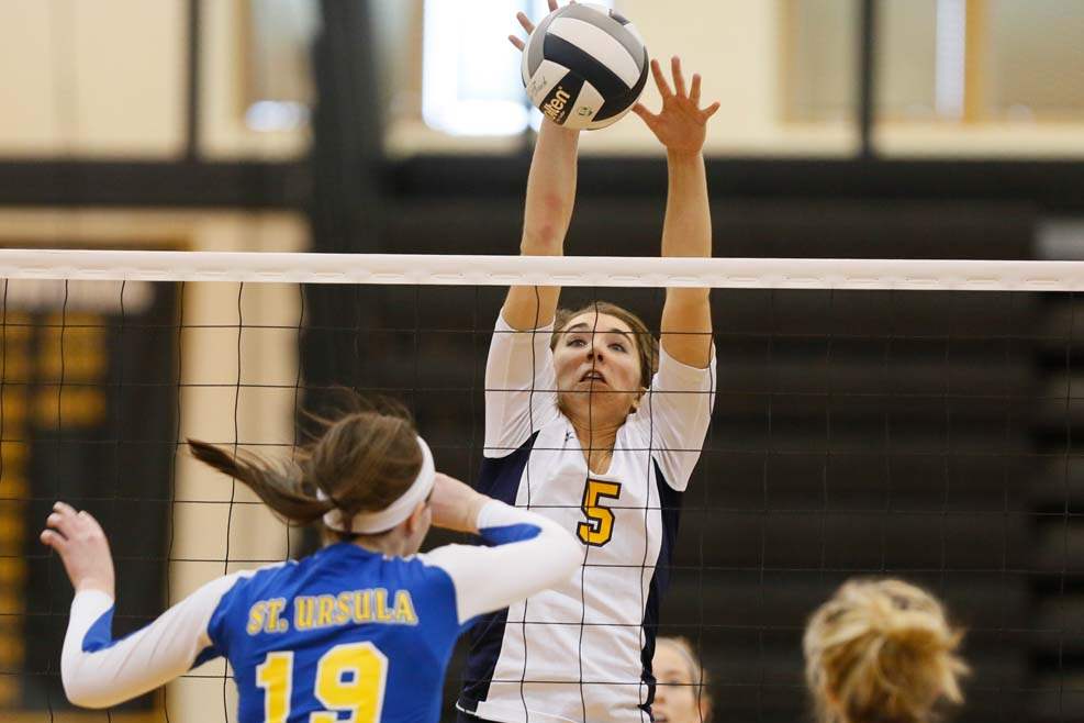 Volleyball-districts-big-hit