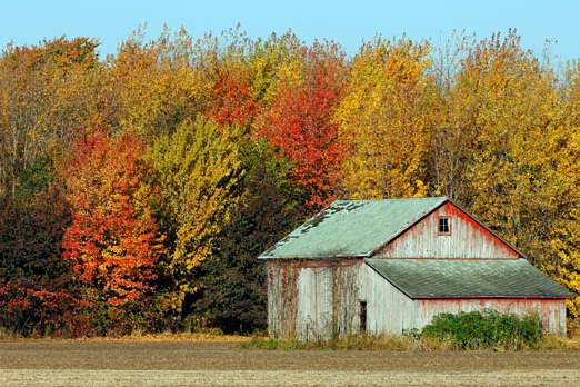 A-faded-barn-sits-among-fall-colors-near-the-corner-of-Yan