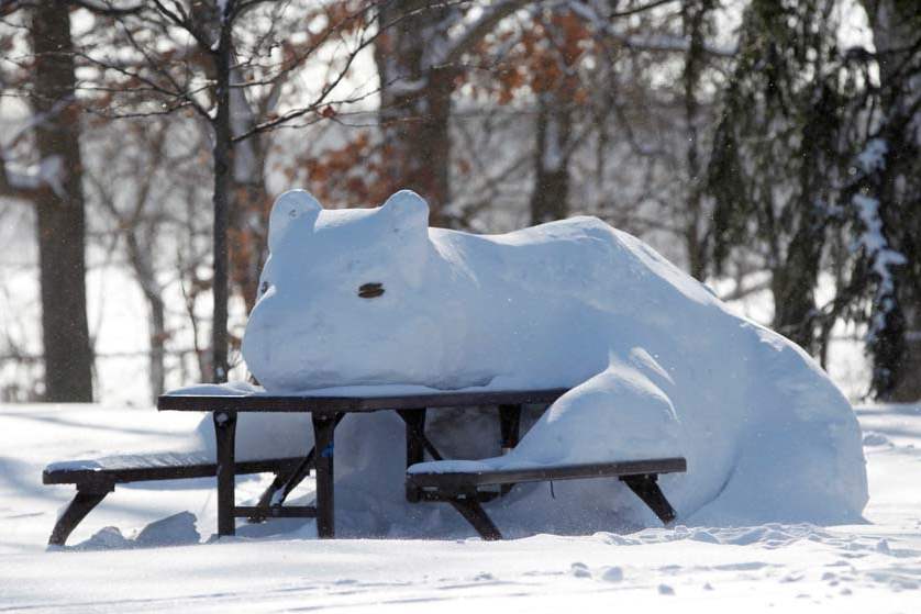 CTY-snowcritters06p-snow-bear