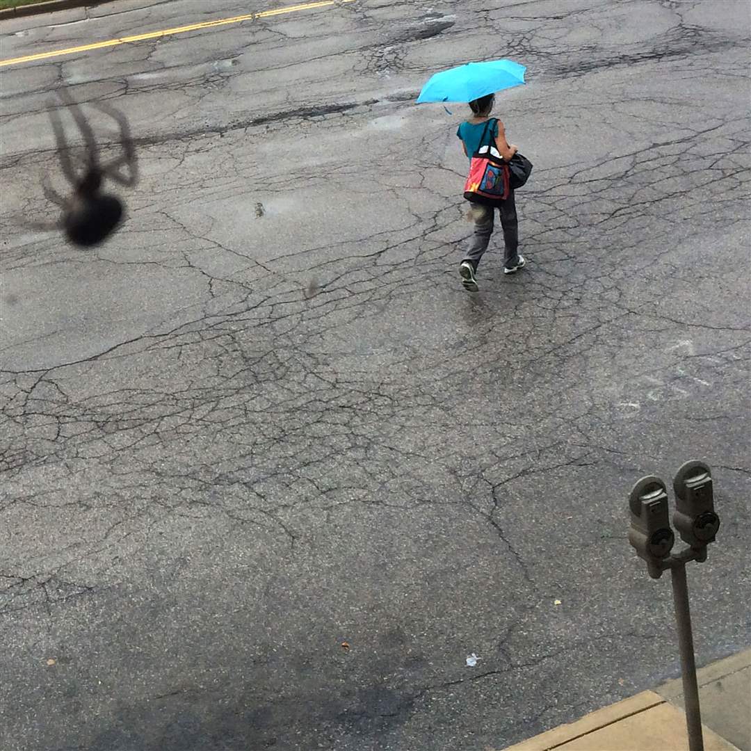 spider-and-rainA-woman-crosses-Orange-Street-in