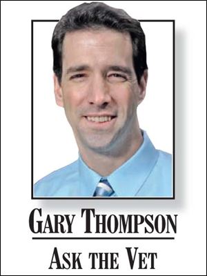  Gary Thompson