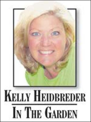 Kelly Heidbreder