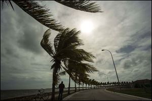 Winds brought by Hurricane Irma blow palm trees lining the seawall in Caibarien, Cuba, Friday, Sept. 8, 2017. Cuba evacuated tourists from beachside resorts after Hurricane Irma left thousands homeless on a devastated string of Caribbean islands and spun toward Florida for what could be a catastrophic blow this weekend.