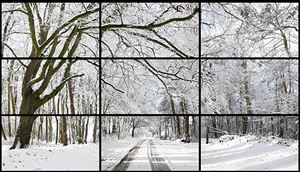 David Hockney's 'Woldgate Woods, Winter, 2010,' part of a multisensory art installation at the Toledo Museum of Art.